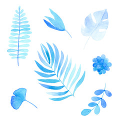 watercolor floral elements isolated on white, blue leaves and branches