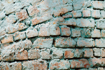 peeling wall old brick light blue turquoise old in india
