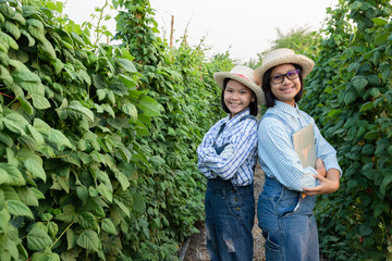 Two young girl checking vegetables and plants in the garden with a bright smile. Agricultural concept