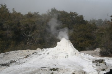 geyser in park national park