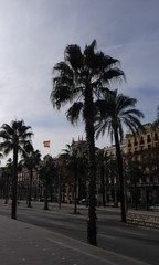Obraz premium Barcelona