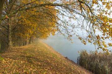 Misty autumn morning in the countryside. Autumn nature colors. Foggy nature in the morning. Colorful trees, fog and water. Speechless place. Nobody. Rural landscape. Mysterious morning