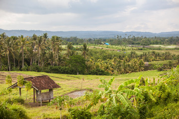 Fototapeta na wymiar Beautiful Balinese view of rice fields and mountains - Light cloudy - Indonesia