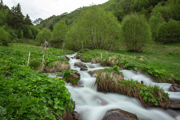 Cold spring river. Stream in a forest landscape. Stones covered with moss. Mountain river stream water flowing landscape. Long exposure shooting.Lush nature, green trees and grass. Rural countryside