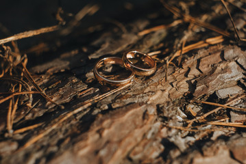 Wedding gold rings close-up lie on a wooden texture and branches. Photography, concept.