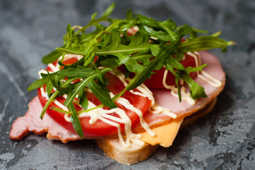 Delicious sandwich with ham and sturgeon, arugula, cheese, tomato and mayonnaise on a gray background side view