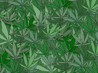 Naklejka premium Cannabis leaf background in various shades of green. Marijuana background for use with copy.