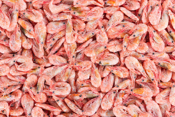 Frozen boiled shrimp without glaze, as a background.