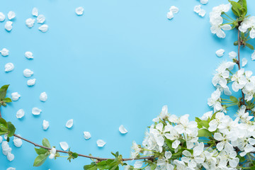 flatlay. Blue background with an ornament from a blossoming branch of an apple tree tree. Mockup template