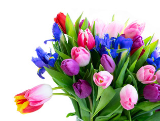 Pink and violet tulips flowers