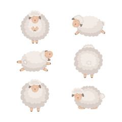 Cartoon vector sheep collection isolated on white.