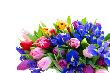 Obraz na płótnie Canvas Pink and violet tulips flowers