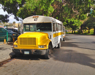 Mexico - Tijuana - Old style yellow and white buses are waiting for passengers from us border check point for central city line ride