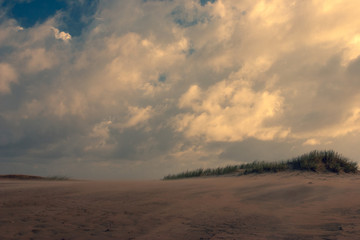 Fototapeta premium Wind in the sand dunes in the evening