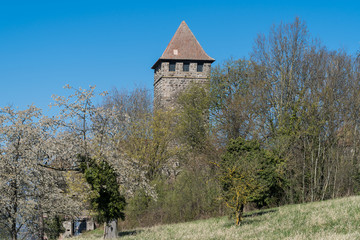 Burg Lichtenberg