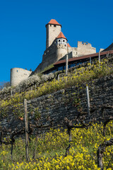 Burg Hornberg bei Neckarzimmern