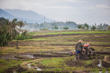 Man prepares a field for rice - Bali - Indonesia - Mount Batukaru