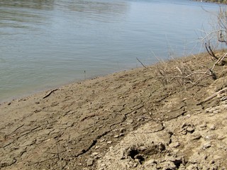 Sludge coast after water levels drop