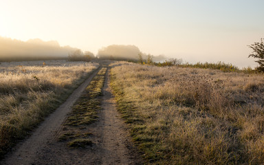 Bright frosty morning
