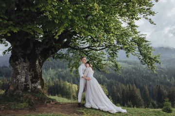 Spring wedding in the mountains. A young guy in a white shirt and trousers and a girl in a white dress are standing under the branches of a large tree in the mountains at sunset