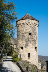 Fototapeta na wymiar Burg Guttenberg