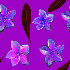 Fototapeta na wymiar Frangipani Plumeria Tropical Flowers on violet background. Seamless Pattern Background. Tropical floral summer seamless pattern background with plumeria flowers with leaves