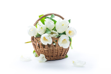 Fototapeta na wymiar beautiful bouquet of white tulips on white background