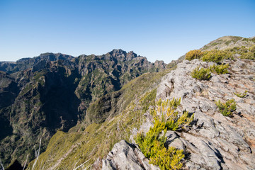PORTUGAL MADEIRA NATIONAL PARK LANDSCAPE