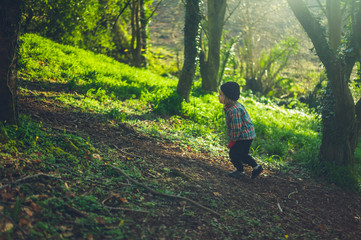 Preschooler walking in woods on a winter day
