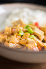 Tofu dish with rice