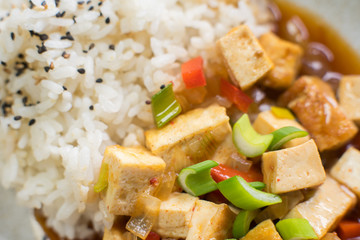 Tofu dish with rice