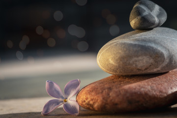 zen balanced stones with lilac flower & bokeh background. concept spa , balance calm, room for text.