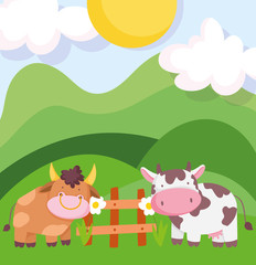 farm animals bull and cow wooden fence flowers hills cartoon