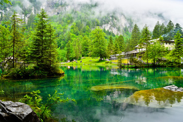 Foggy morning at Lake Blausee, Bernese Highland, Switzerland