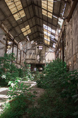 nave abandonada con vegetación © Eva