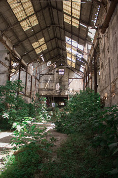 nave abandonada con vegetaci&oacute;n