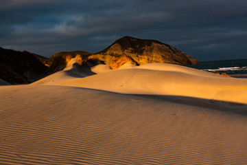 Fototapeta na wymiar View of the sand dunes near Wharariki Beach at Nelson, New Zealand