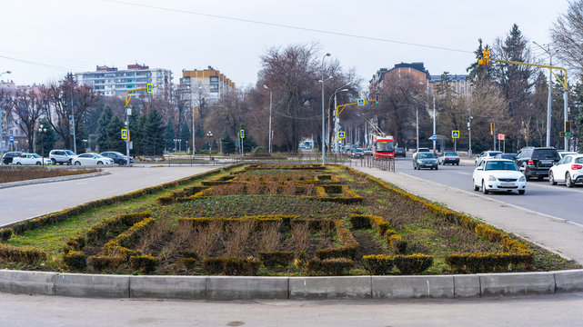 Gardens in the city next to the road