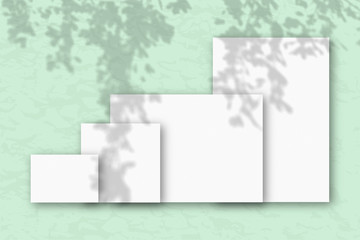 Several horizontal and vertical sheets of white textured paper against a green wall. Mockup overlay with the plant shadows. Natural light casts shadows from the tree's foliage