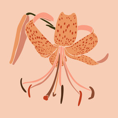 Art collage lily flower in a minimal trendy style. Silhouette of lily plants on a pink background. Vector illustration