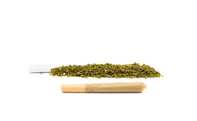 Marijana joint creation stages, grinded cannabis in cigarette shape with paper filter, cannabis...