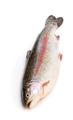 Fresh raw rainbow trout fish isolated on white