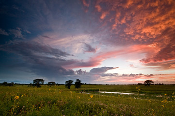 A sunset sky with intense color and clearing storm clouds over a summer prairie landscape.