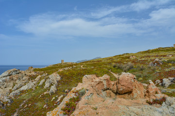 Fototapeta na wymiar Genoese tower at Punta Spano amongst the maquis and rocks, Balagne region of Corsica, France