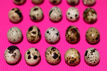 A pattern of quail eggs that lie in parallel on a textured pink background. An unusual look at simple things in anticipation of Easter.