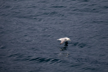 Färöer - Inseln im Nordatlantik