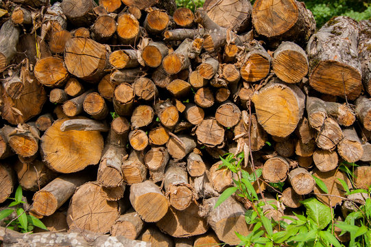 The logs piled up on top of each other, the end to the viewer. Horizontal photo.