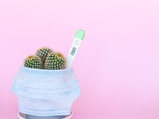 Face protective medical mask around cactus and thermometer with high temperature on pink background. Concept of coronavirus, disease, treatment, protection from virus, flu.  Copy space