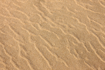 Fototapeta na wymiar Frozen, rippling beach sand on the beach at Harrington Beach State Park, Belgium, Wisconsin in early January