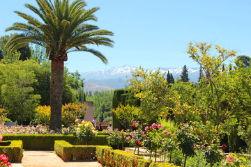 Alhambra Palace Garten